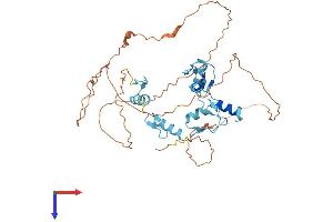 AlphaFold protein structure predicition of Human Recombinant GFI1 Protein, UniprotID Q99684