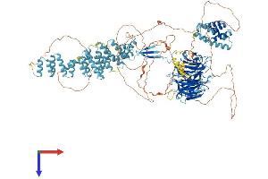 AlphaFold protein structure predicition of Mouse Recombinant Sec31a Protein, UniprotID Q3UPL0