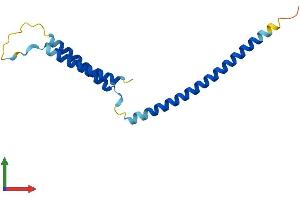 AlphaFold protein structure predicition of Mouse Recombinant Med21 Protein, UniprotID Q9CQ39