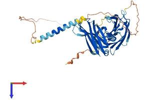 AlphaFold protein structure predicition of Mouse Recombinant Syt8 Protein, UniprotID Q9R0N6