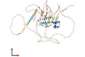 AlphaFold protein structure predicition of Mouse Recombinant Pou6f2 Protein, UniprotID Q8BJI4