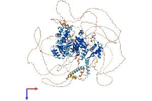 AlphaFold protein structure predicition of Mouse Recombinant Blm Protein, UniprotID O88700