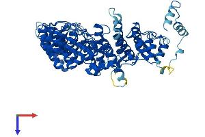 AlphaFold protein structure predicition of Human Recombinant FEM1C Protein, UniprotID Q96JP0