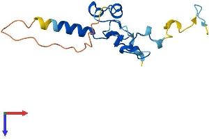 AlphaFold protein structure predicition of Human Recombinant NANOS2 Protein, UniprotID P60321