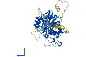 AlphaFold protein structure predicition of Human Recombinant B3GALT4 Protein, UniprotID O96024