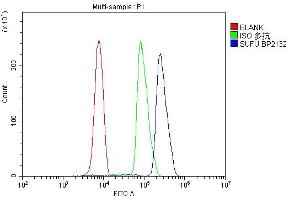 Flow Cytometry analysis of U937 cells using anti-SUFU antibody (ABIN7601394). (SUFUH anticorps  (AA 34-484))