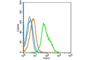 Mouse splenocytes probed with IL-22BP/IL22RA2 Polyclonal Antibody, Unconjugated  at 1:100 for 30 minutes followed by incubation with a conjugated secondary (PE Conjugated) (green) for 30 minutes compared to control cells (blue), secondary only (light blue) and isotype control (orange). (IL22RA2 anticorps  (AA 165-263))