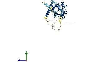AlphaFold protein structure predicition of Mouse Recombinant Htr5a Protein, UniprotID P30966