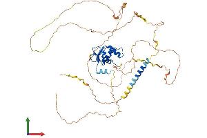 AlphaFold protein structure predicition of Mouse Recombinant Etv1 Protein, UniprotID P41164