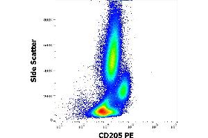 Flow cytometry surface staining pattern of human peripheral whole blood stained using anti-human CD205 (HD30) PE antibody (10 μL reagent / 100 μL of peripheral whole blood). (LY75/DEC-205 anticorps  (PE))