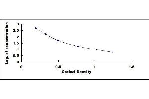 Typical standard curve (Big Dynorphin Kit ELISA)