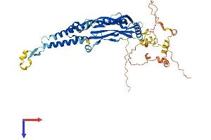 AlphaFold protein structure predicition of Human Recombinant TMEM151A Protein, UniprotID Q8N4L1