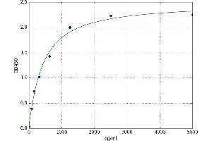 Granzyme M (Lymphocyte Met-Ase 1) (GZMM) ELISA Kit