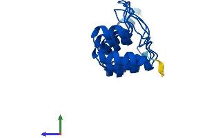 AlphaFold protein structure predicition of Human Recombinant CDKN2D Protein, UniprotID P55273