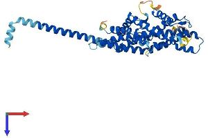 AlphaFold protein structure predicition of Human Recombinant PEX3 Protein, UniprotID P56589