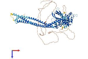 AlphaFold protein structure predicition of Human Recombinant ASAP3 Protein, UniprotID Q8TDY4