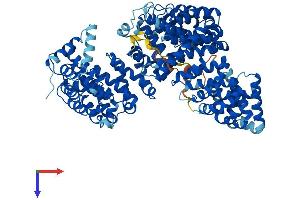 AlphaFold protein structure predicition of Human Recombinant TNPO2 Protein, UniprotID O14787