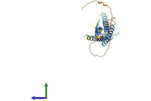 AlphaFold protein structure predicition of Human Recombinant CACNG5 Protein, UniprotID Q9UF02