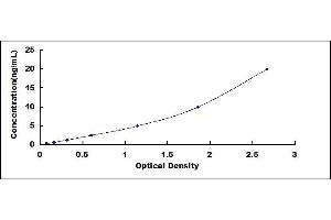 Typical standard curve