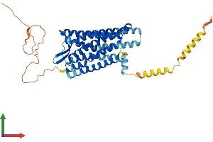 AlphaFold protein structure predicition of Mouse Recombinant Oprm1 Protein, UniprotID P42866