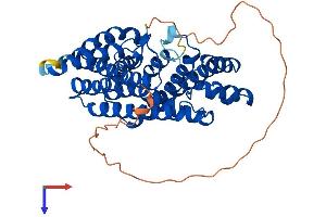 AlphaFold protein structure predicition of Human Recombinant FDPS Protein, UniprotID P14324