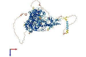 AlphaFold protein structure predicition of Human Recombinant POLG Protein, UniprotID P54098
