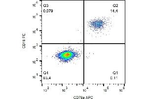 Flow cytometry analysis (intracellular staining) of CD79a in human peripheral blood (lymphocyte gate) with anti-CD79a (HM57) APC.