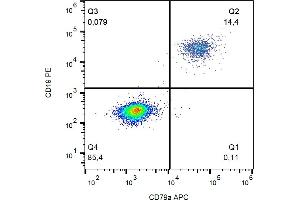 Flow cytometry analysis (intracellular staining) of CD79a in human peripheral blood (lymphocyte gate) with anti-CD79a (HM57) APC. (CD79a anticorps  (AA 202-216) (APC))