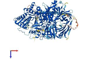 AlphaFold protein structure predicition of Mouse Recombinant Man2a1 Protein, UniprotID P27046