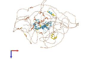 AlphaFold protein structure predicition of Human Recombinant GLI1 Protein, UniprotID P08151