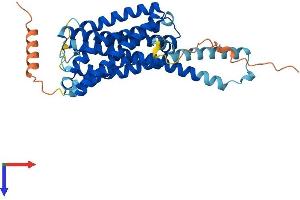 AlphaFold protein structure predicition of Human Recombinant GPR45 Protein, UniprotID Q9Y5Y3