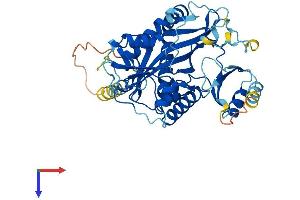AlphaFold protein structure predicition of Human Recombinant TTLL1 Protein, UniprotID O95922