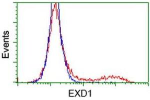 HEK293T cells transfected with either RC206223 overexpress plasmid (Red) or empty vector control plasmid (Blue) were immunostained by anti-EXD1 antibody (ABIN2453985), and then analyzed by flow cytometry. (EXD1 anticorps)