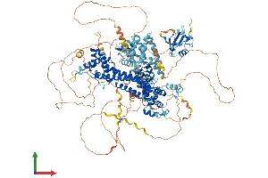 AlphaFold protein structure predicition of Human Recombinant GRID2IP Protein, UniprotID A4D2P6