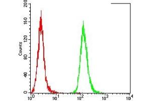 Flow cytometric analysis of Hela cells using TDP43 mouse mAb (green) and negative control (red).
