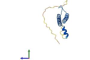 AlphaFold protein structure predicition of Human Recombinant NHLH1 Protein, UniprotID Q02575