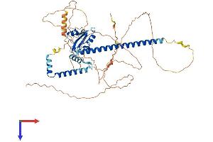 AlphaFold protein structure predicition of Human Recombinant GMEB2 Protein, UniprotID Q9UKD1
