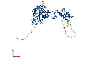 AlphaFold protein structure predicition of Human Recombinant HENMT1 Protein, UniprotID Q5T8I9