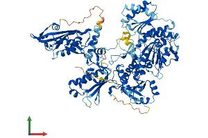 AlphaFold protein structure predicition of Human Recombinant SLFN13 Protein, UniprotID Q68D06