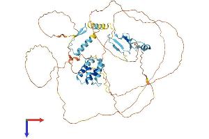 AlphaFold protein structure predicition of Human Recombinant MED26 Protein, UniprotID O95402