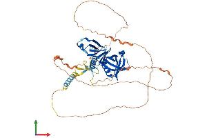 AlphaFold protein structure predicition of Human Recombinant DOK7 Protein, UniprotID Q18PE1