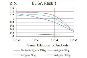 ELISA image for anti-Fibronectin 1 (FN1) antibody (ABIN1846248)