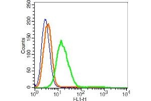 RSC96 cells probed with GPR55 Polyclonal Antibody, ALEXA FLUOR® 488 Conjugated (bs-7686R-A488) at 1:2 for 30 minutes compared to control cells (blue) and isotype control (orange). (GPR55 anticorps  (AA 141-240) (Alexa Fluor 488))