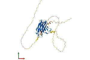 AlphaFold protein structure predicition of Human Recombinant RIMS3 Protein, UniprotID Q9UJD0