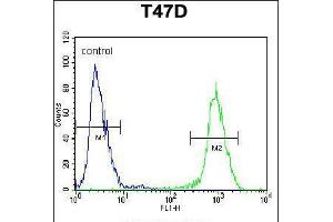 Flow cytometric analysis of T47D cells (right histogram) compared to a negative control cell (left histogram). (ARHGAP19 anticorps  (AA 195-224))