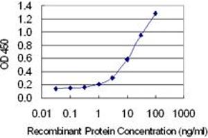 Detection limit for recombinant GST tagged PDCD1LG2 is 0. (PDCD1LG2 anticorps  (AA 22-111))