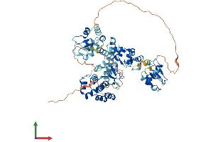 AlphaFold protein structure predicition of Human Recombinant BIRC2 Protein, UniprotID Q13490