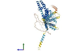 AlphaFold protein structure predicition of Mouse Recombinant Kcnv2 Protein, UniprotID Q8CFS6