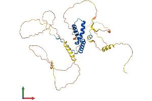 AlphaFold protein structure predicition of Human Recombinant SOX1 Protein, UniprotID O00570