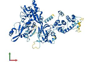AlphaFold protein structure predicition of Mouse Recombinant Capn8 Protein, UniprotID Q91VA3